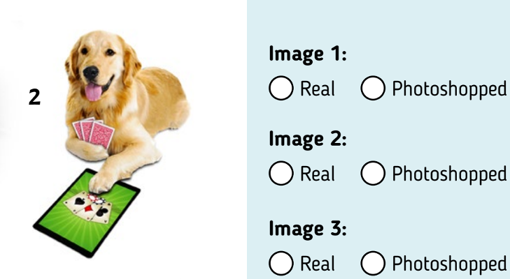 no pic